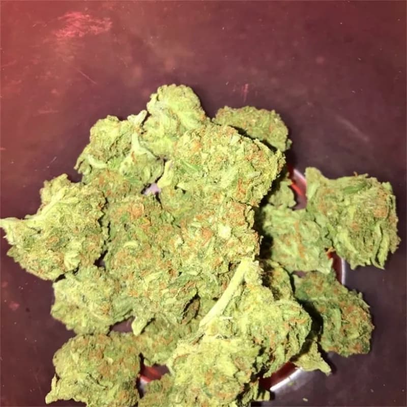 Purple Haze
